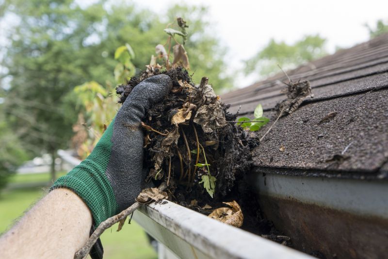 Clogged Gutter Clearing in Frederick, MD