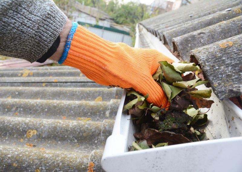 Gutter Cleaning in Arvada, CO