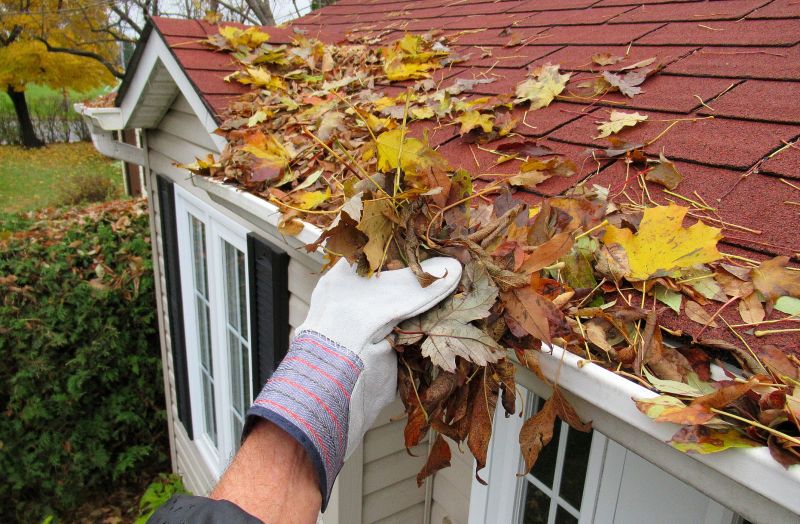Gutter Leaf Clearing in Annapolis, MD