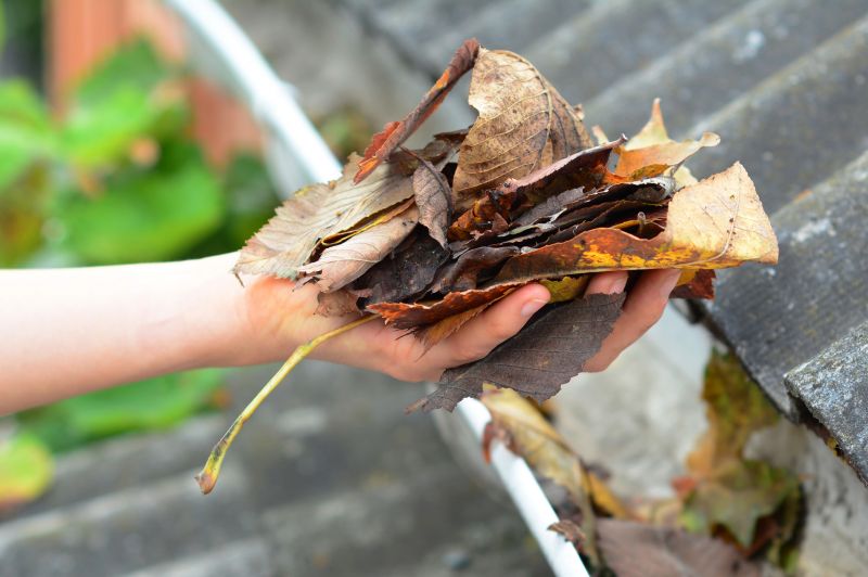 Gutter Leaf Clearing in Morris County, NJ