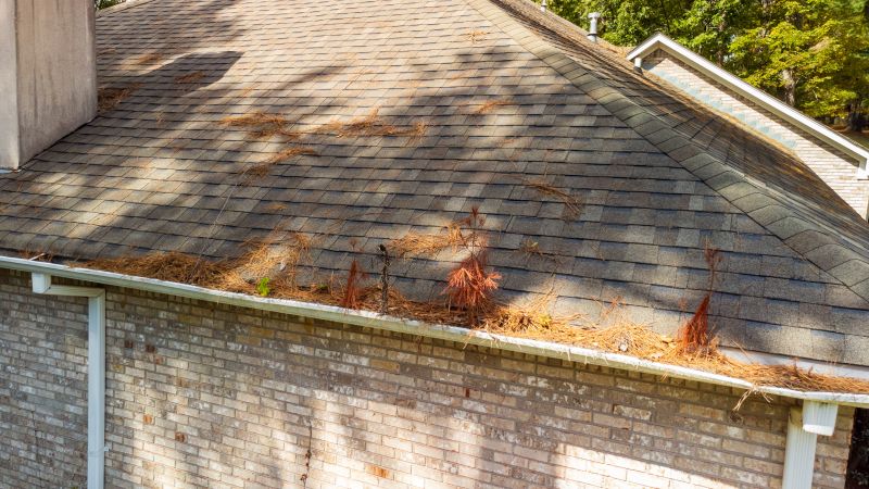 Gutter Pine Needle Removal in Arvada, CO