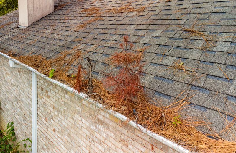 Gutter Pine Needle Removal in Boulder, CO