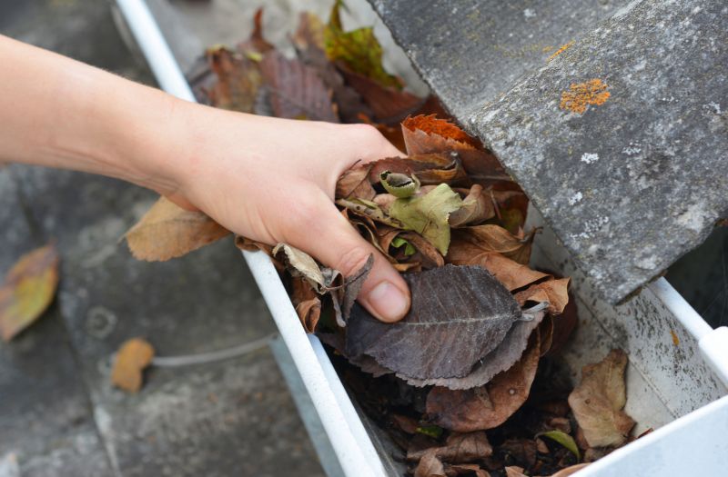 Business Gutter Cleaning in Roseville, CA