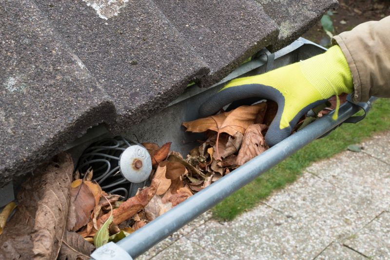 Commercial Gutter Unclogging in Denver County, CO