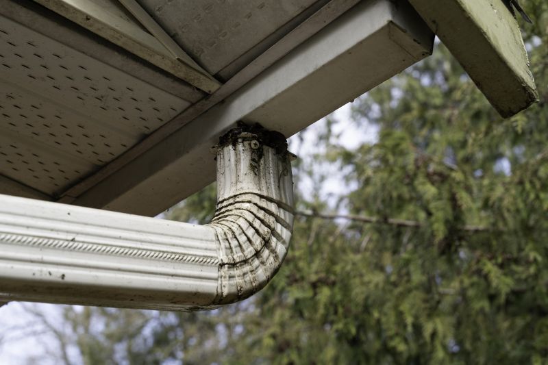Eavestrough Clearing in Richmond, VA