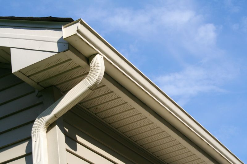Eavestrough Clearing in Bergen County, NJ