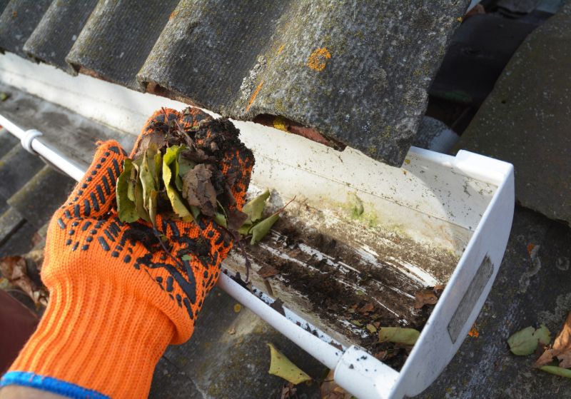 Gutter Cleaning in Monmouth County, NJ
