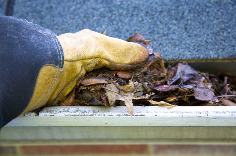 Gutter Cleaning in Pittsburgh, PA