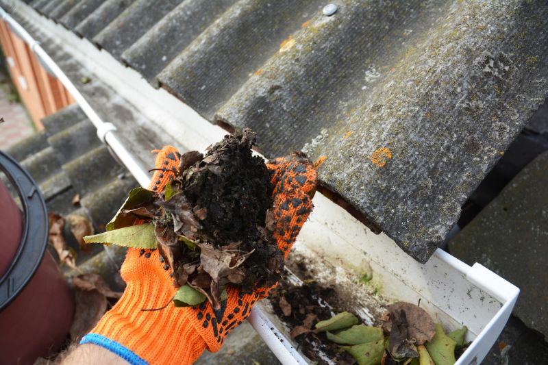 Gutter Leaf Clearing in Fredericksburg, VA