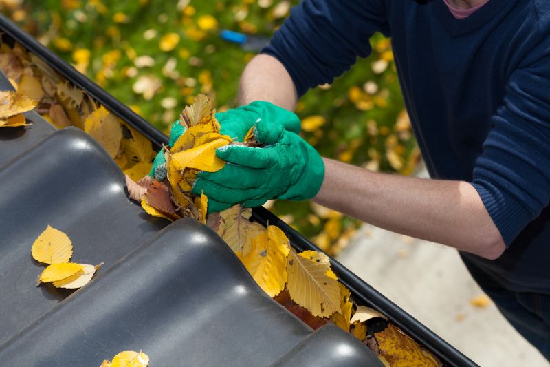 Gutter Leaf Clearing in Monmouth County, NJ