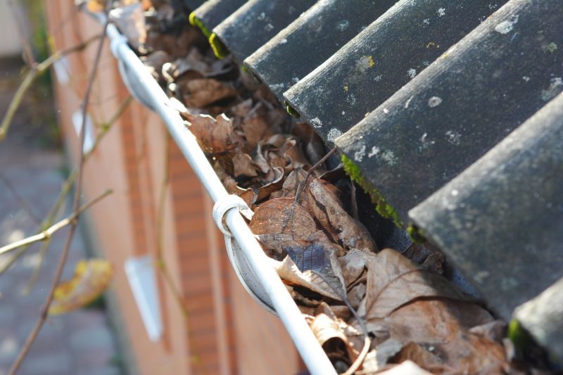 Gutter Leaf Clearing in Longmont, CO