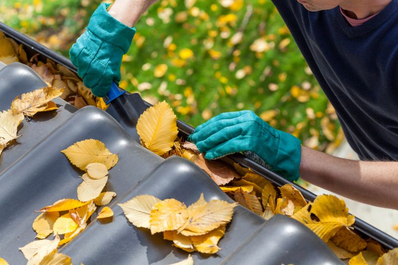 Gutter Leaf Clearing in Frederick, MD