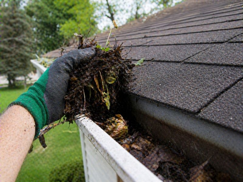Gutter Leaf Clearing in Pittsburgh, PA