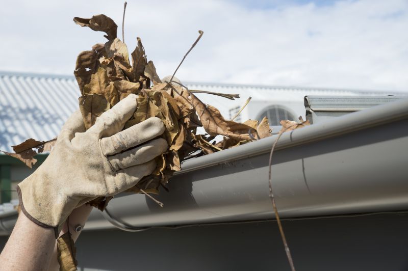 Gutter Leaf Clearing in Morris County, NJ