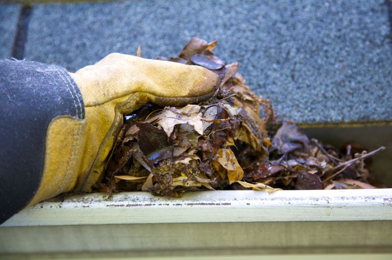 Gutter Leaf Clearing in Rochester, NY
