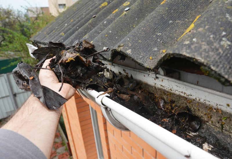 Gutter Leaves Removal in Longmont, CO