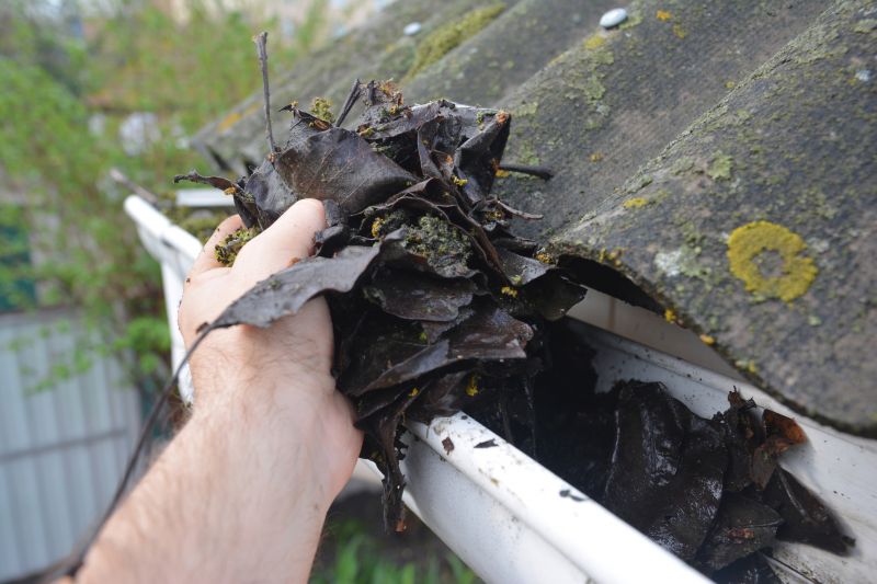 Gutter Leaves Removal in Arvada, CO