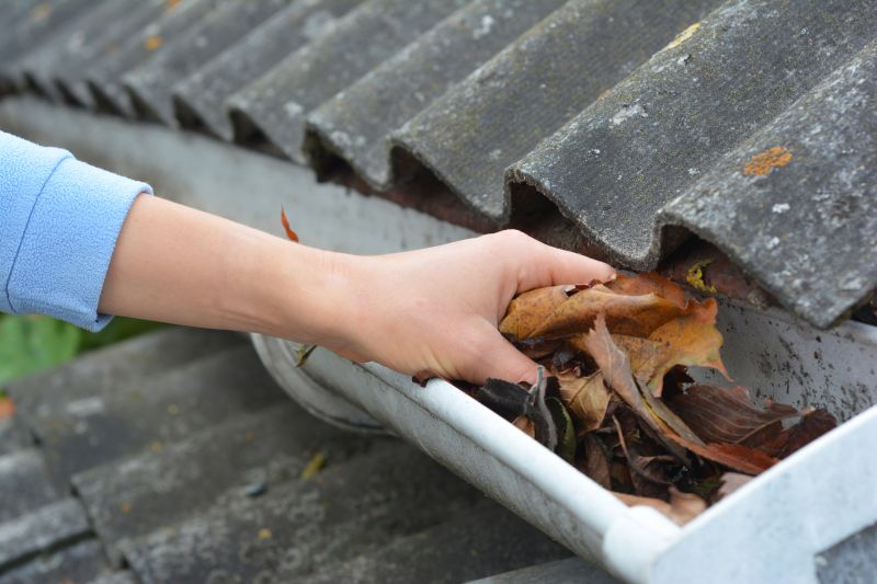 Gutter Leaves Removal in Richmond, VA