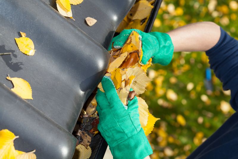 Gutter Maintenance in Longmont, CO