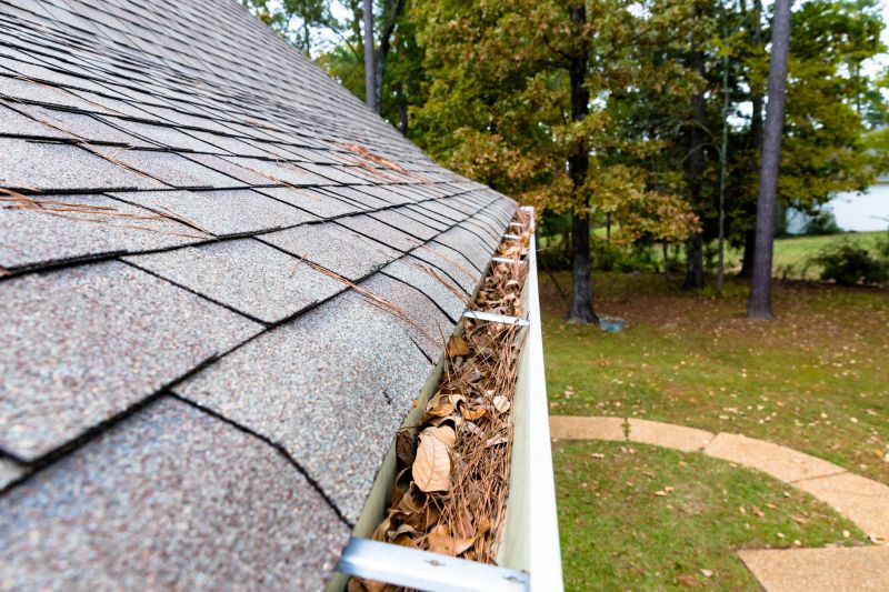 Gutter Pine Needle Removal in Long Island, NY