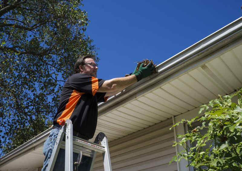 Rain Gutter Clearing in Annapolis, MD