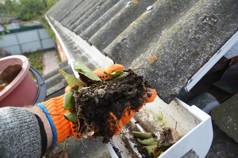 Rain Gutter Clearing in Annapolis, MD