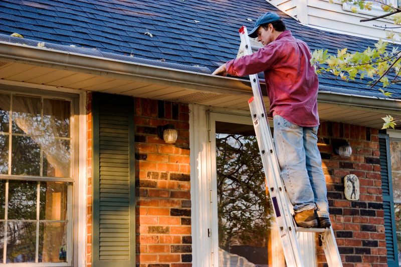 Roof Gutter Cleaning in Boulder, CO