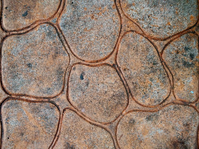 Stamped Concrete Sealing in Tacoma, WA