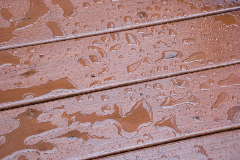 Wood Waterproofing in Renton, WA